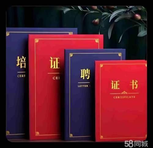 证件模板设计全面指南:让每一张证件兼具规范与美感
